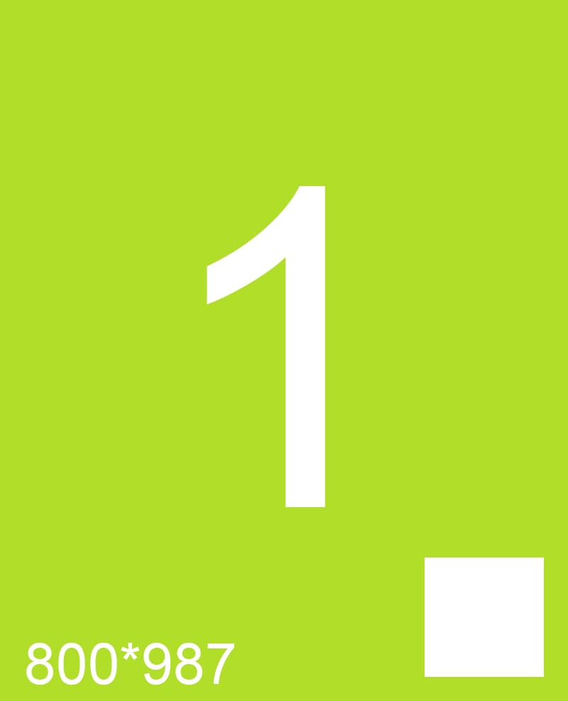 S1